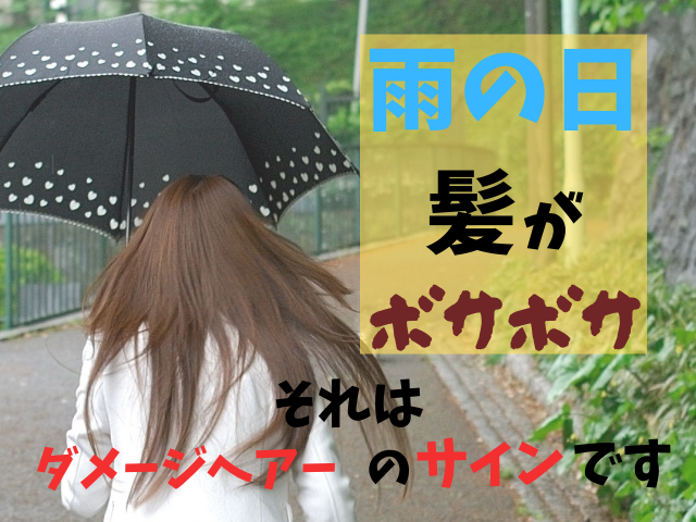 雨の日に髪がボサボサ 2択の改善方法でまとまる髪へ 美容室 Haru